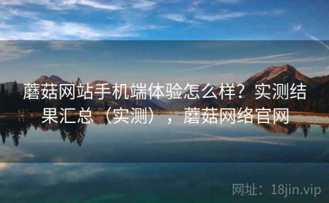 蘑菇网站手机端体验怎么样？实测结果汇总（实测），蘑菇网络官网