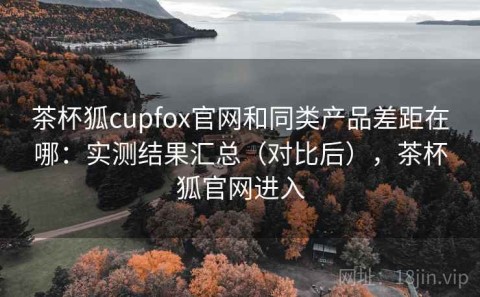 茶杯狐cupfox官网和同类产品差距在哪：实测结果汇总（对比后），茶杯狐官网进入