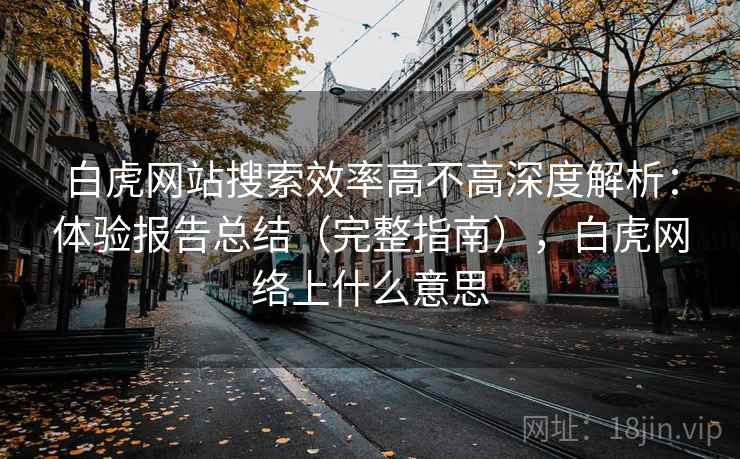 白虎网站搜索效率高不高深度解析:体验报告总结(完整指南),白虎网络上什么意思 白虎网站搜索效率高不高深度解析:体验报告总结(完整指南),白虎网络上什么意思